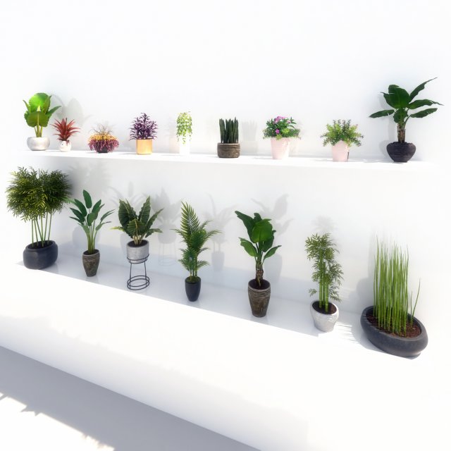 potted green plants 3D मॉडल .c4d .max .obj .3ds .fbx .stl .blend 