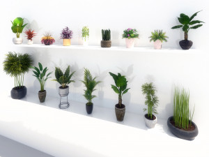 potted green plants 3D Model