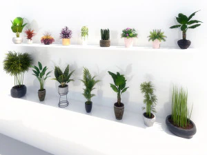 groene planten in potten 3D Model