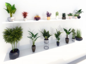 potted green plants 3D मॉडल