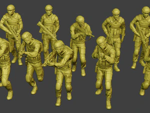 paquete de papanicolaou de las fuerzas especiales reales de china1 Modelo de impresión 3D