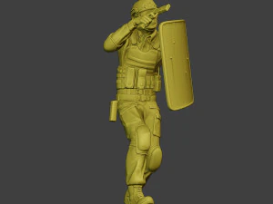 china actual special forces pap 0019 3D Print Model