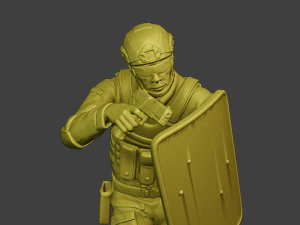 china actual special forces pap 0019 3D Print Model