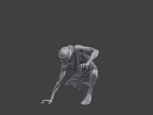 Zombi informal CZ3 0009 Modelo de impresión 3D