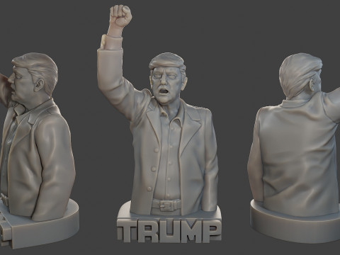 Donald Trump Fight Sculpture 3D Print Model