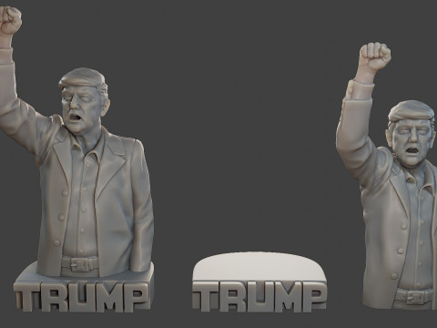 Donald Trump Fight Sculpture 3D 打印模型