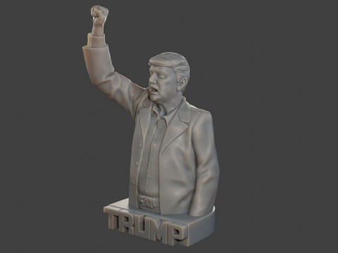Donald Trump Fight Sculpture 3D 打印模型