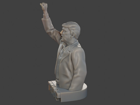 Donald Trump Fight Sculpture 3D 打印模型