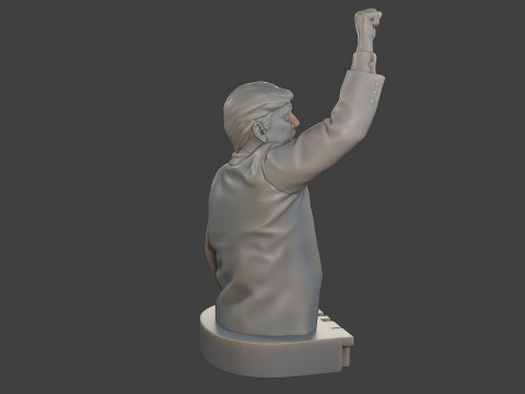 Donald Trump Fight Sculpture 3D 打印模型