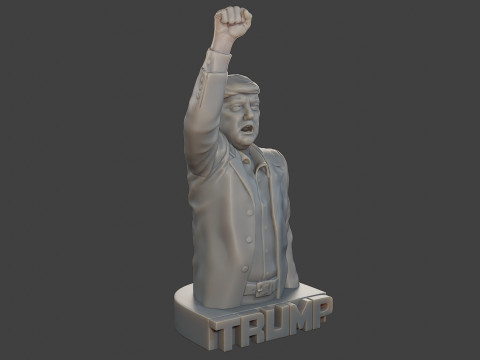 Donald Trump Fight Sculpture 3D 打印模型