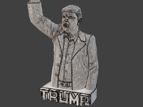 Donald Trump Fight Sculpture 3D 打印模型