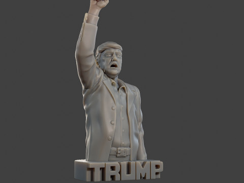 Donald Trump Fight Sculpture 3D 打印模型