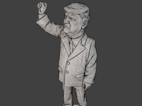 Donald Trump Injured Ear 3D 打印模型