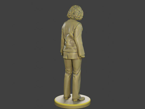 Colete refletivo de seguran&ccedil;a feminino FSRV 001 Modelo de Impressão 3D