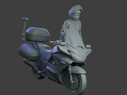 Honda ST 1300 police HSTP1 003 3D Print Model