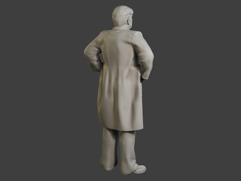 Donald Trump Stand Modelo de Impressão 3D