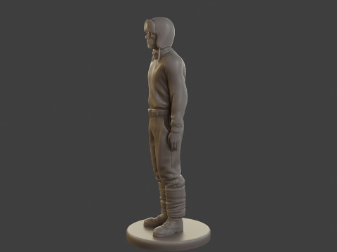 1900 Antartic Sailor ANS1 001 3D Принт Модель