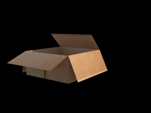 box 3D Model