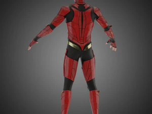 flash 3D Model