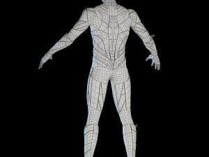 flash 3D Model