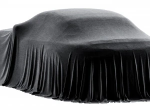 Car Cover coupe 3D Model