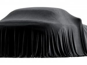 Car Cover coupe 3D Model