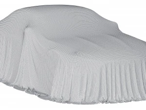 Car Cover coupe 3D Model