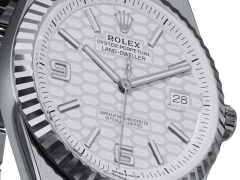 RolexLand-Dweller 127334 3D Model