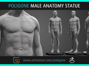 male anatomy statue 3D Model