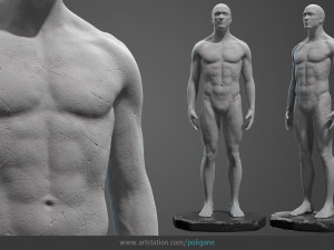 male anatomy statue 3D Model