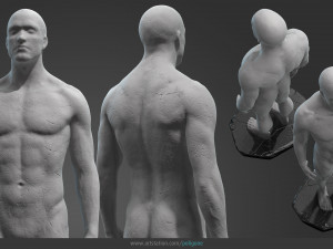 male anatomy statue 3D Model