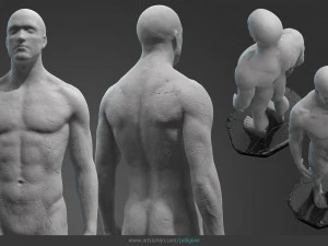 male anatomy statue 3D Model