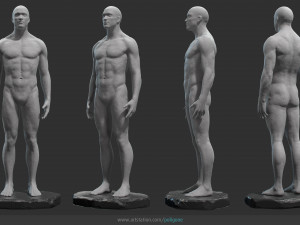 male anatomy statue 3D Model