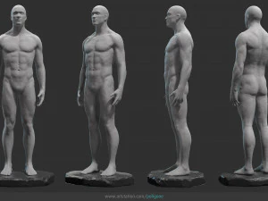 male anatomy statue 3D Model