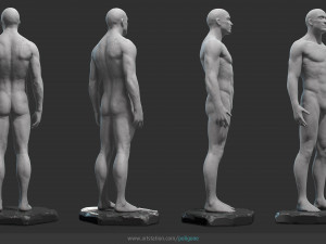 male anatomy statue 3D Model