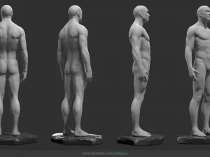 male anatomy statue 3D Model