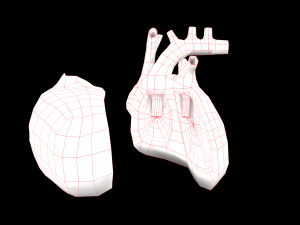 heart medical science low-poly 3D Model