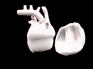 heart medical science low-poly 3D Model