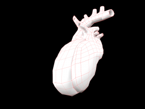 heart medical science low-poly 3D Model