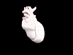 heart medical science low-poly 3D Model