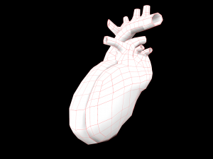 heart medical science low-poly 3D Model