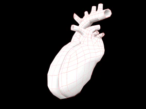 heart medical science low-poly 3D Model