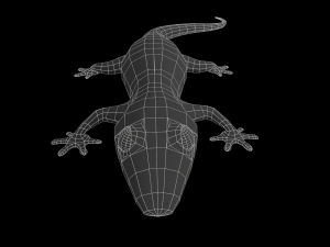 lizard gecko animal low-poly 3D Model