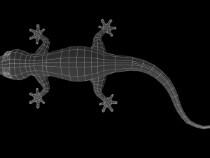 lizard gecko animal low-poly 3D Model