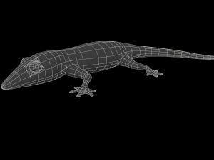 lizard gecko animal low-poly 3D Model