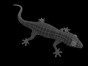 lizard gecko animal low-poly 3D Model