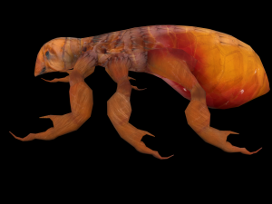 fleas insect tick louse low-poly 3D Model