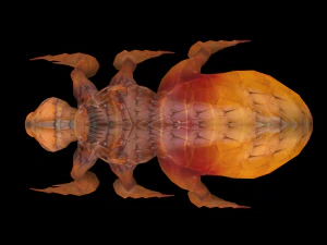 fleas insect tick louse low-poly 3D Model
