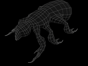 fleas insect tick louse low-poly 3D Model