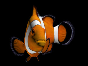 clownfishlowpolyversion 3D Model
